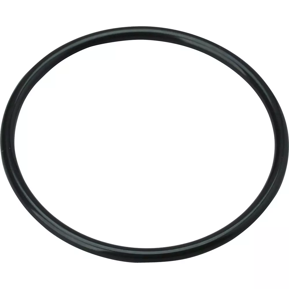 NOK O-Ring G Series (For Static) Fluorine Black 60.6 mm Outer and 3.1±0.1 Wire Diameter, 4DG55