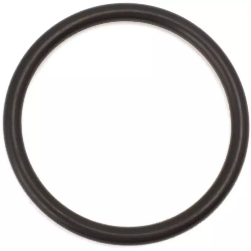 NOK O-Ring 1BP 74 mm Outer and 5.7±0.13 mm Wire Diameter, 1BP-63