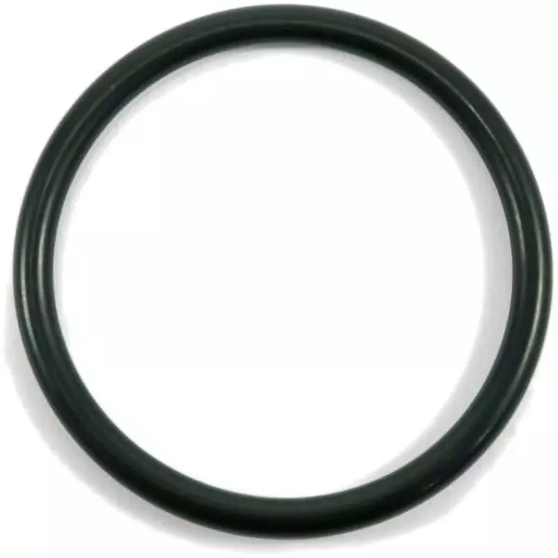 NOK O-Ring 1BP 76 mm Outer and 5.7±0.13 mm Wire Diameter, 1BP-65