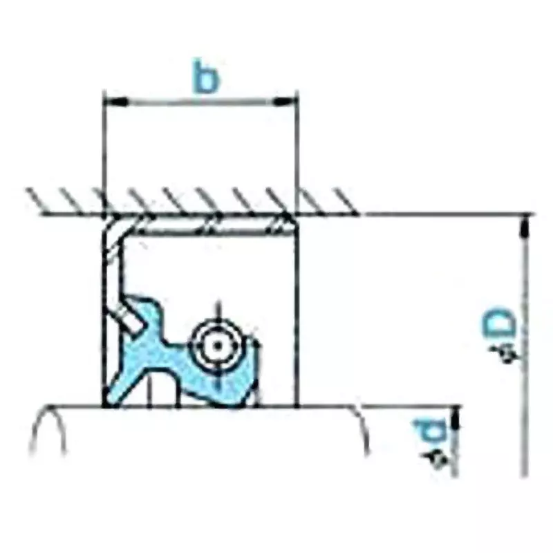 NOK φ12x25 mm TB Type Fluoro Rubber Oil Seal, TB12257F