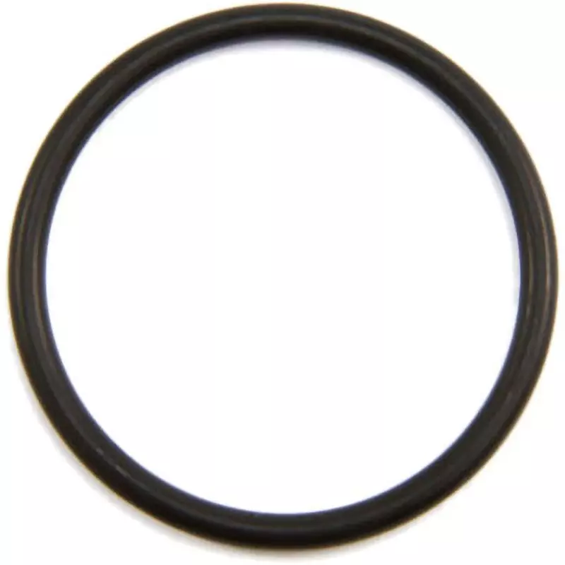 NOK O-Ring 1BP 51.7 mm Outer and 3.5±0.1 mm Wire Diameter, 1BP-45