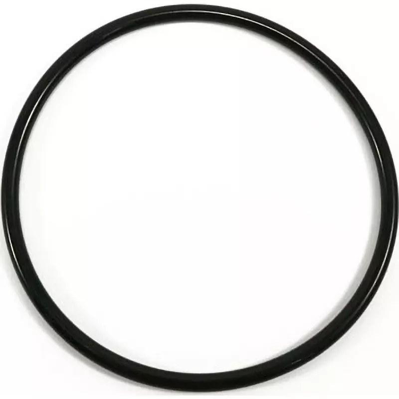 NOK O-Ring 1BP 126 mm Outer and 5.7±0.13 mm Wire Diameter, 1BP-115
