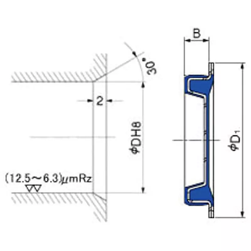 NOK Bore Plug RCA5 Type 26 mm Outer Diameter, RCA5 26-6-32
