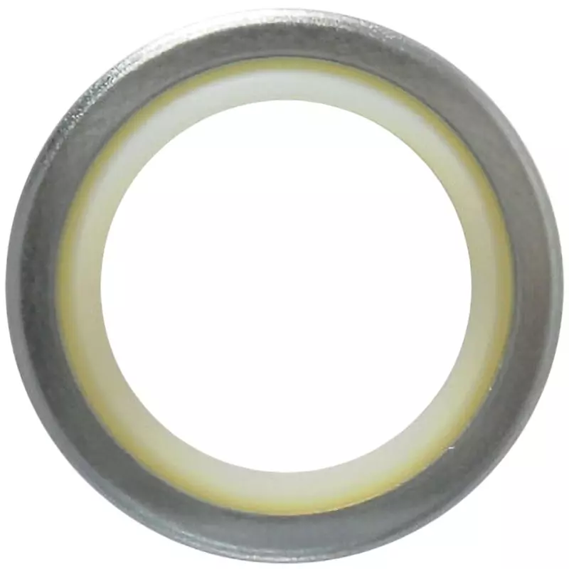 NOK DKI Series 118x 134 mm Iron Rubber Reciprocating Dust Seal, DKI 118 134 9 12