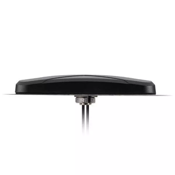 Taoglas Outdoor Antennas MIMO RP-SMA Male, SMA Male 1.3 dBi, 2.9 dBi, MA231.LBC.003