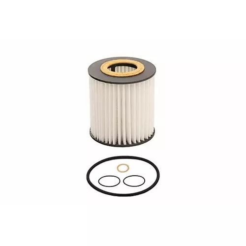 SCT Germany Insert Oil Filter for BMW, SH4792L