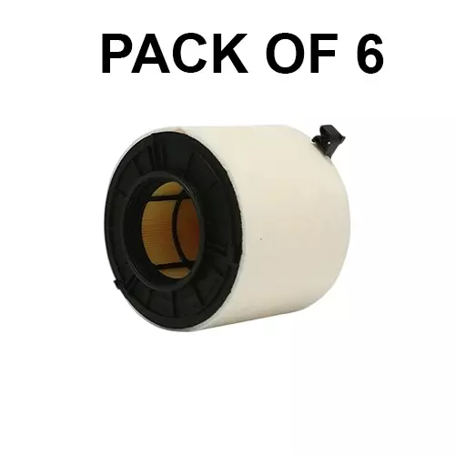 SCT Germany Insert Air Filter for Audi, SB2411 (Pack of 6)