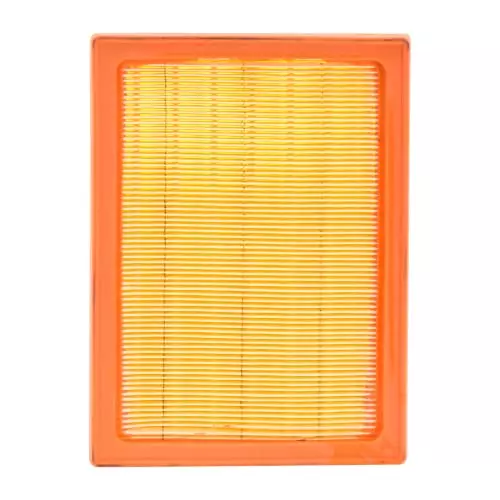 Uno Minda Air Filter For Nissan-Micra/Renault-Pulse (AF4061PU)