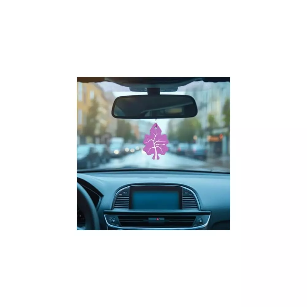 switch-car-air-freshener-screen-cleaning-cloth-combo-swt-lavender-2671