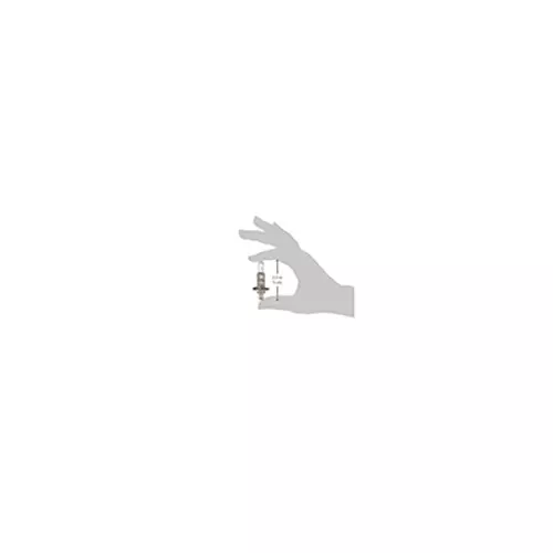 Uno Minda Halogen Light (H1-7001)