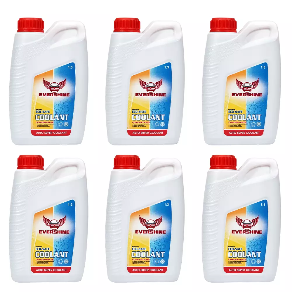Evershine Radiator Coolant 1 L Green Liquid, RC1003 (Pack of 6)