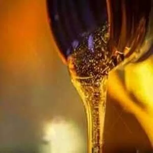 Z Premium Tempo Gear Oil 5 L, 0814ZTH0V9M