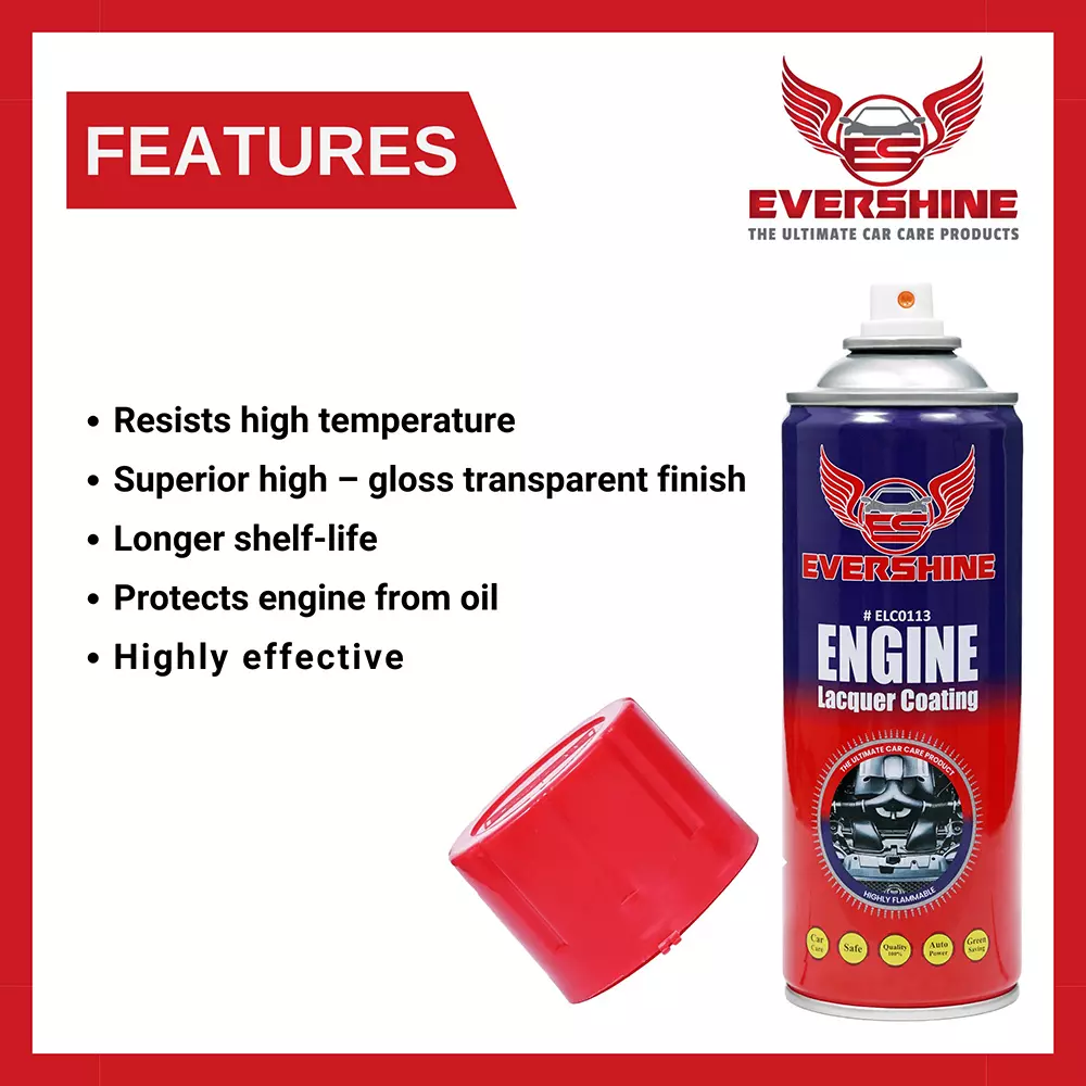 Evershine Engine Laquer Coating 500 ml Aerosol Spray, ELC0113 (Pack of 6)