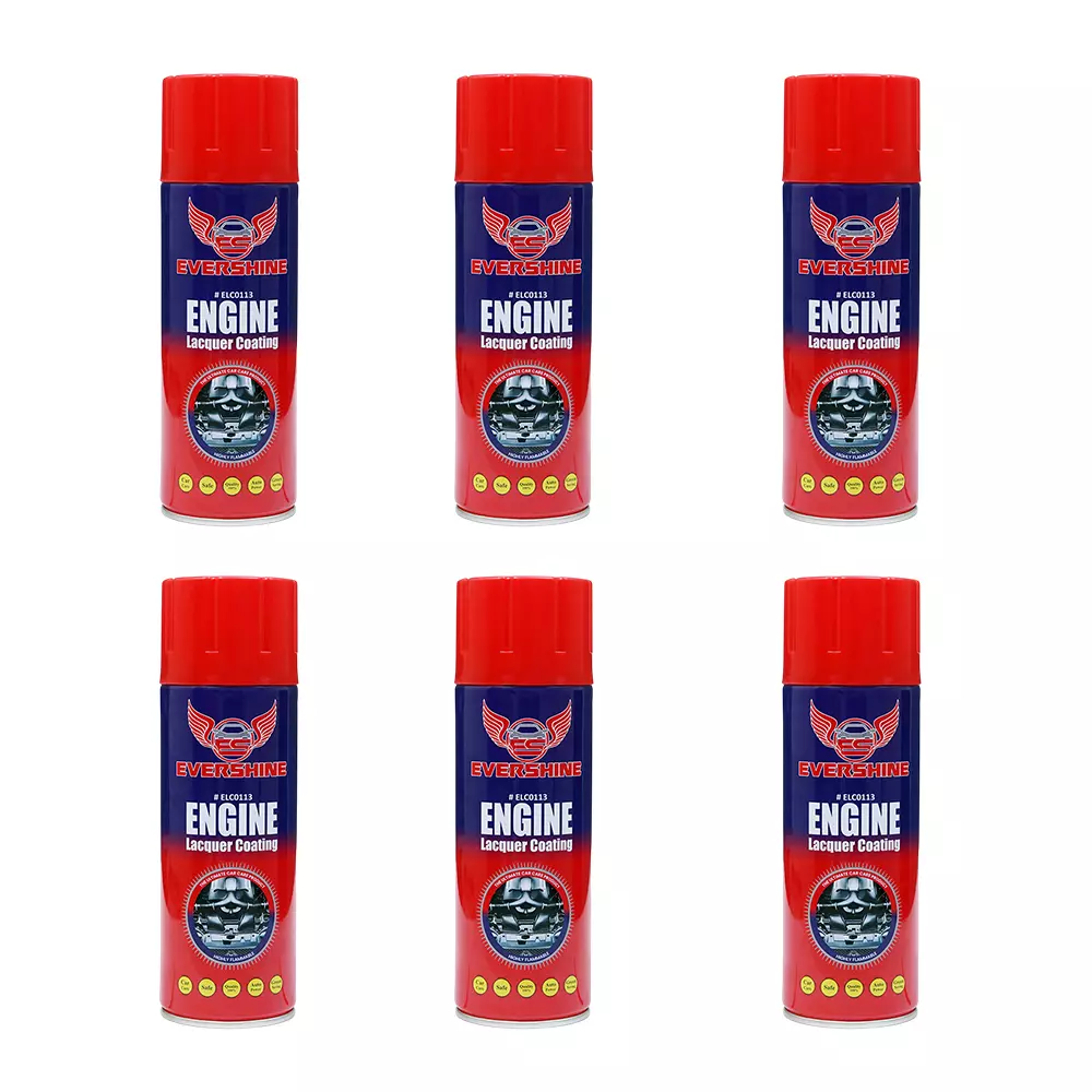 Evershine Engine Laquer Coating 500 ml Aerosol Spray, ELC0113 (Pack of 6)