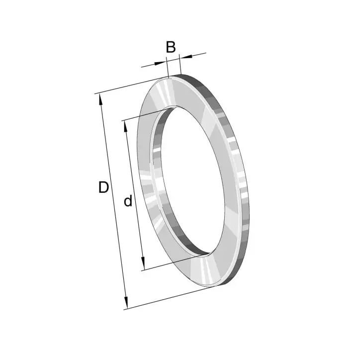 INA Bearing Washers, LS5578
