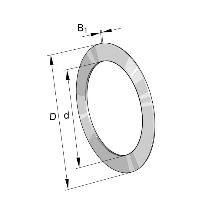 INA Axial Bearing Washers, AS2542