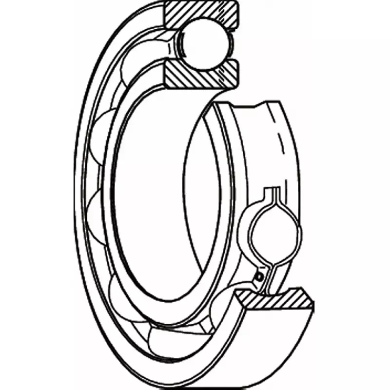 nsk-single-row-deep-groove-ball-bearing-95x145-mm-diameter-and-24-mm-width-b-6019