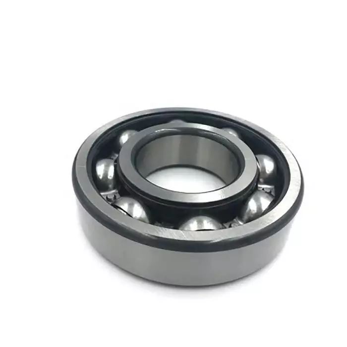 INA Single Row Deep Groove Ball Bearing- Open Type 45 mm I.D, 100 mm O.D, 6309-C-C3