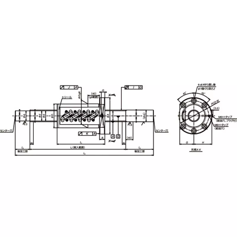 nsk-standard-ball-screw-unfinished-shaft-end-high-speed-ss-series-hss-10-mm-lead-hss5010n1d2350