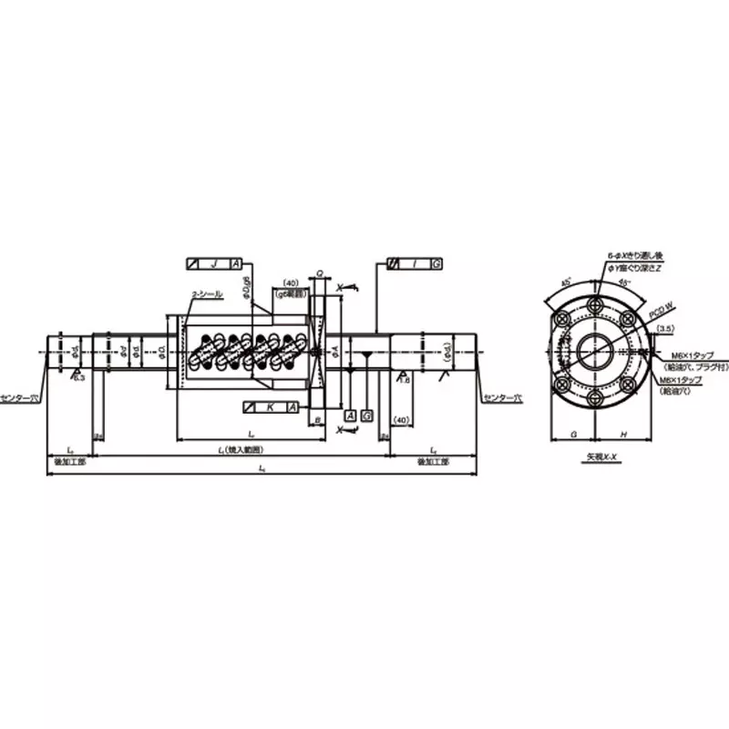 nsk-standard-ball-screw-unfinished-shaft-end-high-speed-ss-series-hss-10-mm-lead-hss5010n1d2350