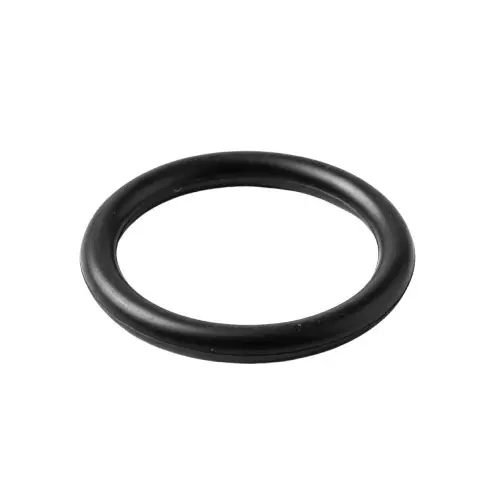 PIONEER INDUSTRIES 22.8x1 mm Viton Rubber O-Ring Black (Pack of 10)