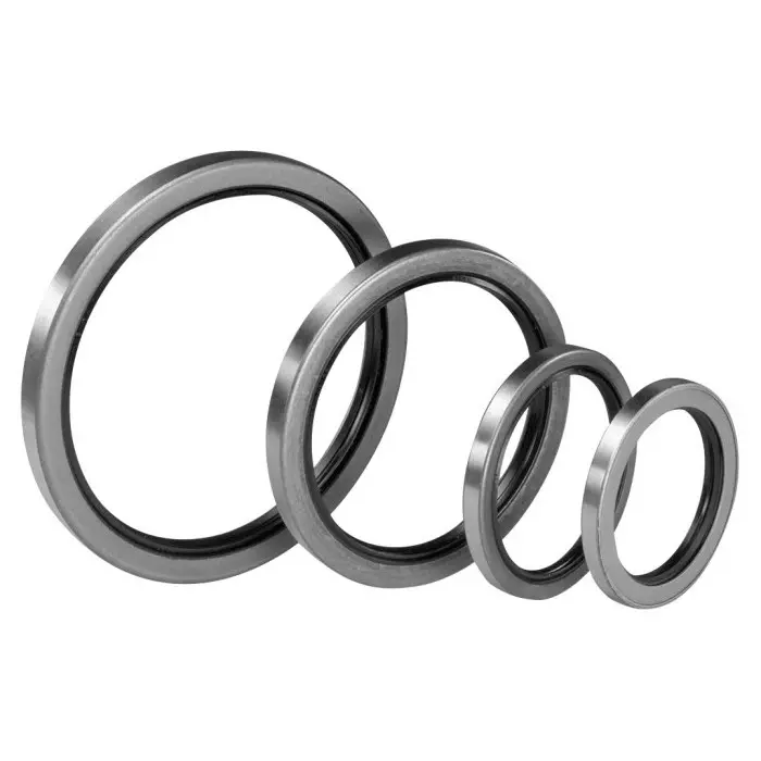 Paulstra Hutchinson Nitrile Rubber Seal 20 mm ID 38 mm OD 8 mm, 722163 (Pack of 2)