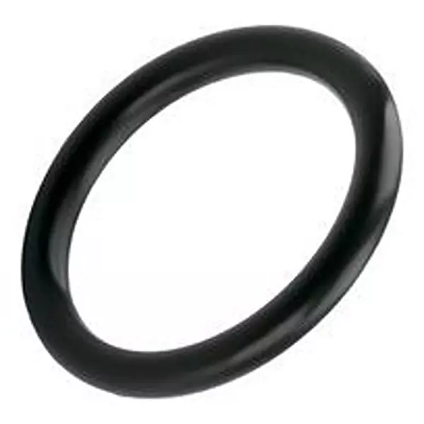 LAPP O-Ring, M50, 2.0Mm, Pk25, 53102060 (Pack of 25)