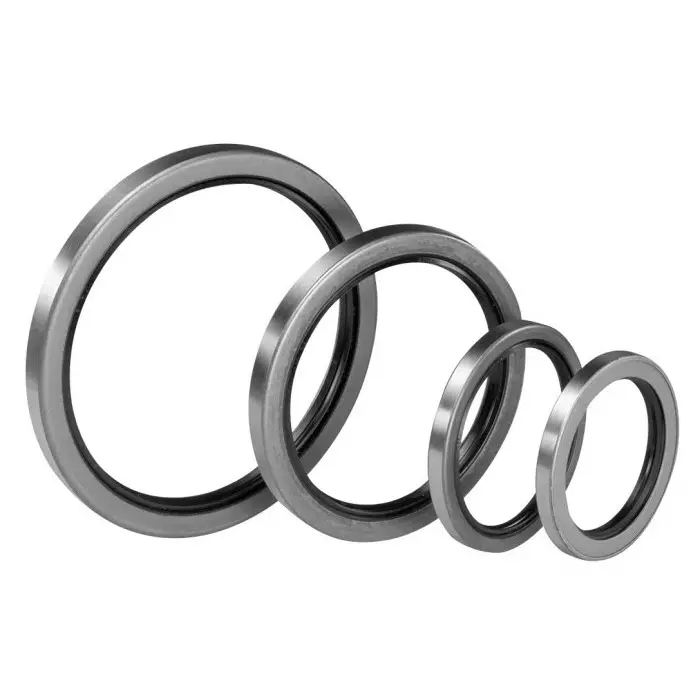 Paulstra Hutchinson Nitrile Rubber Seal 10 mm ID 19 mm OD 7 mm, 722164 (Pack of 2)