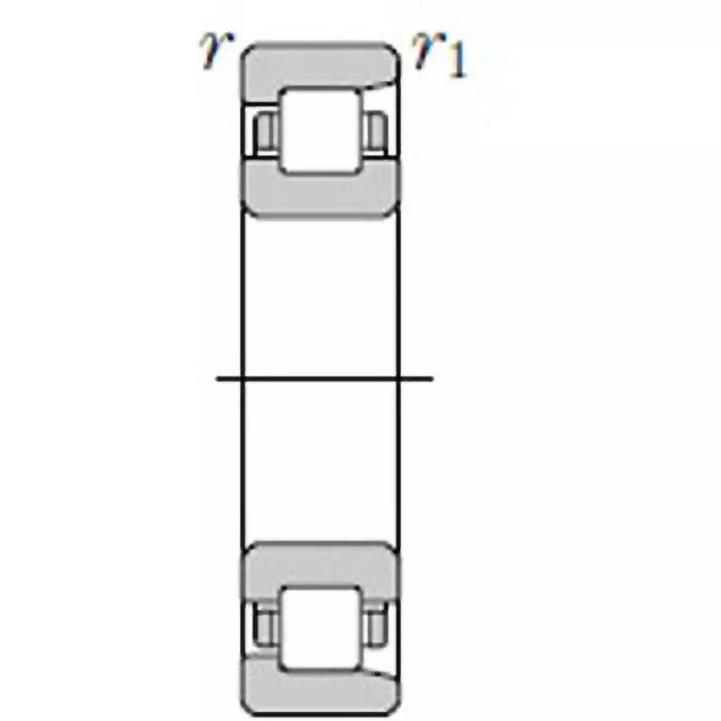 NTN Cylindrical Roller Bearing + NF2300 Type 30x72 mm Diamater, NF2306G1