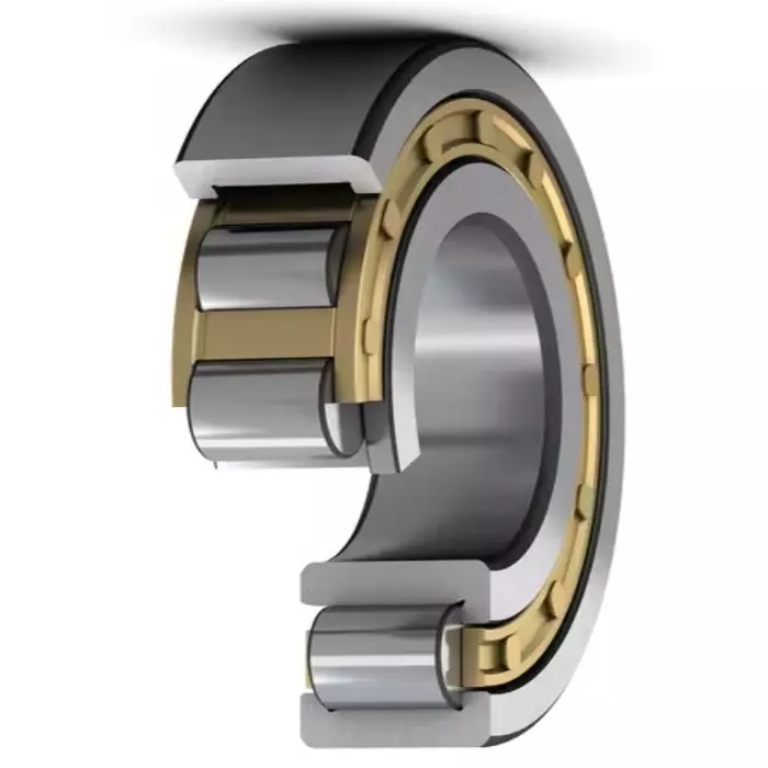 SKF Imported Single Row Cylindrical Roller Bearing, Inner Dia 45 mm, Outer Dia 75 mm, Width 16 mm, NU1009ECP
