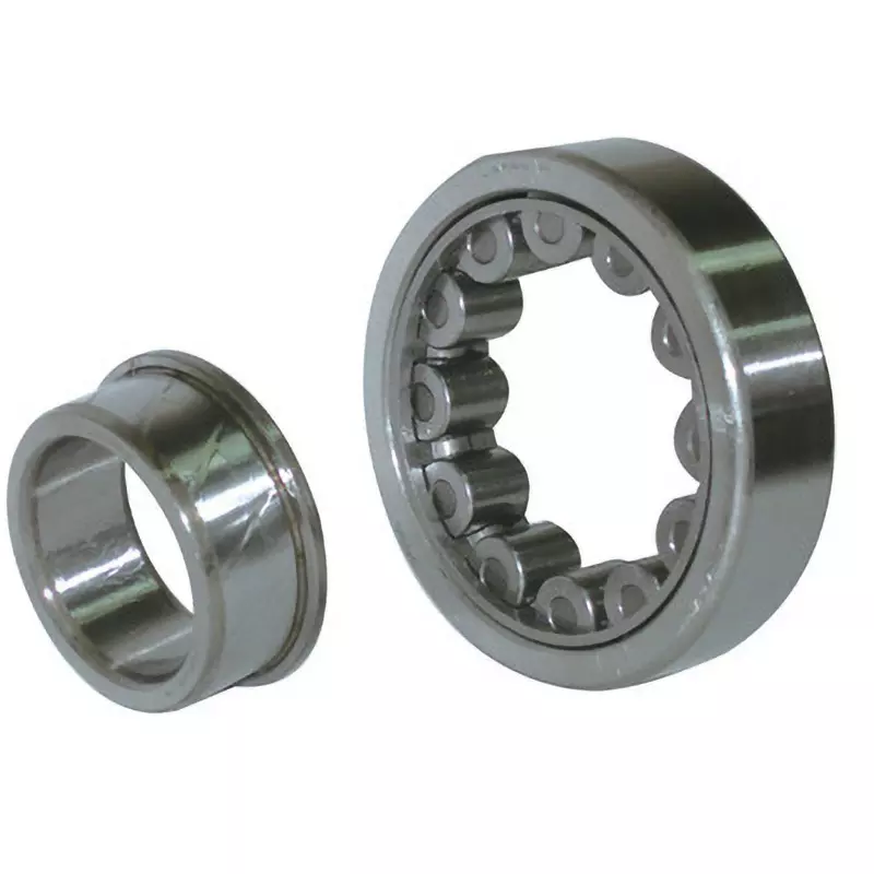 NSK Single Row Cylindrical Roller Bearing Radial 85x150 mm Diameter, NF217W