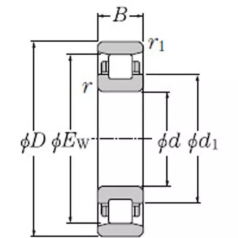 NTN Cylindrical Roller Bearing + N1000 Type 130x200 mm Diamater, N1026G1