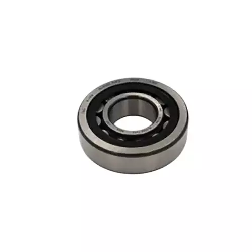 INA 17 mm I.D Cylindrical Roller Bearing, 47 mm O.D, NJ303-E-XL-TVP2