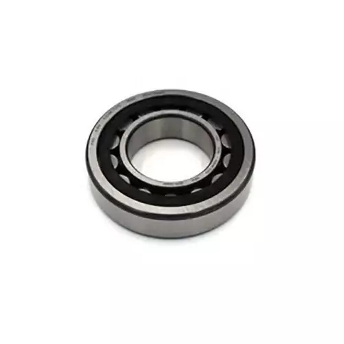 INA 20 mm I.D Cylindrical Roller Bearing, 47 mm O.D, NJ204-E-XL-TVP2
