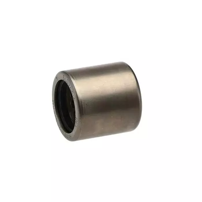 INA 10 mm I.D Needle Roller Bearing, 14 mm O.D, HK1014-2RS-FPM-B-L271