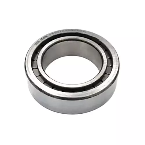 INA 35 mm I.D Cylindrical Roller Bearing, 62 mm O.D, SL183007-A-XL