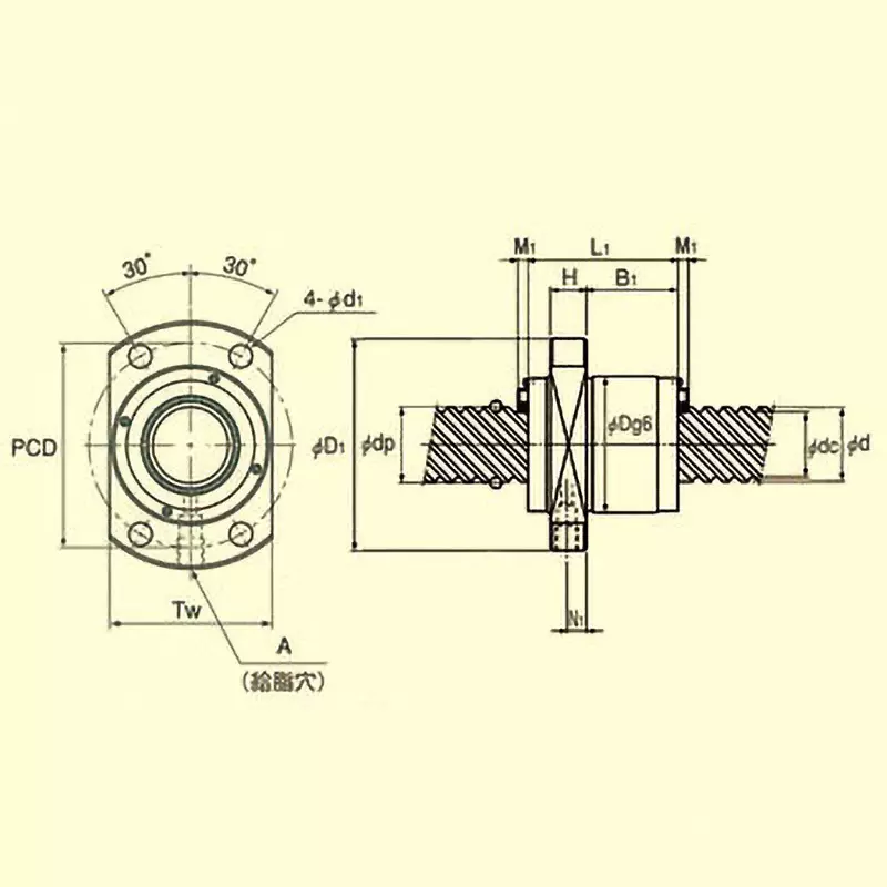 Thk Screw Shaft Φ50 mm Outer Dia Right Direction, TS 5050+3000L