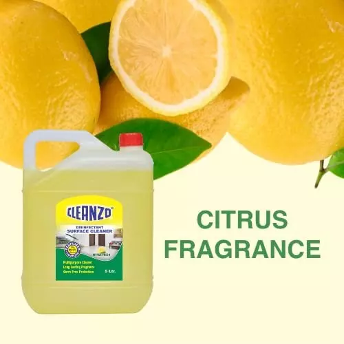 Cleanzo Disinfectant Surface & Floor Cleaner 5 L Citrus Cleaner Fragrance For All Floor Cleaner Mops