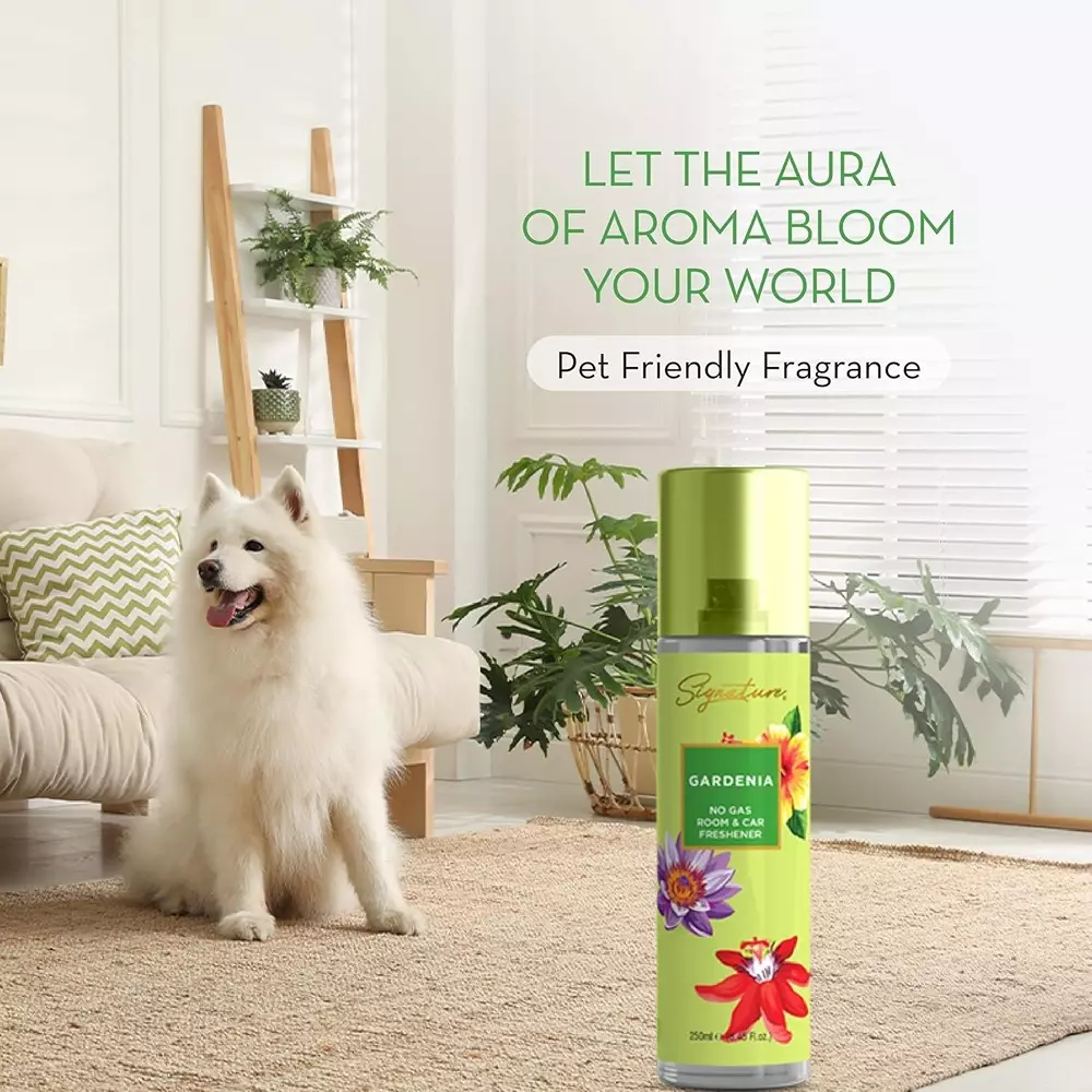 Signature Air Freshener Spray Gardenia 250 ml Bottle liquid Form for Rooms, Cars & Bathrooms, FG000711 (Pack of 3 Pcs)