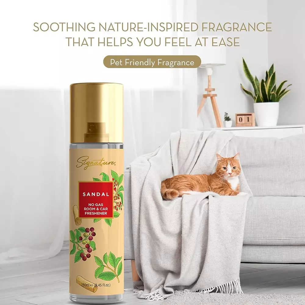 Signature Air Freshener Spray Sandal 250 ml Bottle liquid Form for Rooms, Cars & Bathrooms, FG000713 (Pack of 12 Pcs)