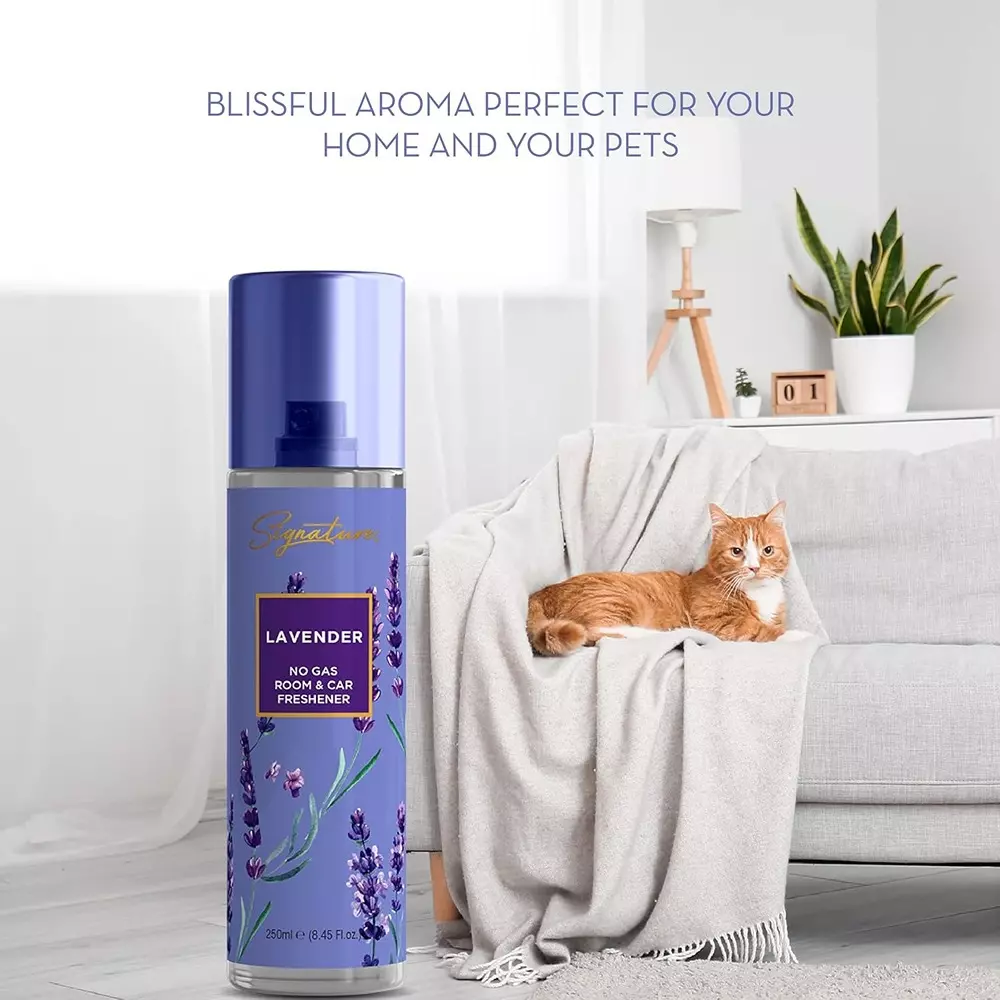 Signature Air Freshener Spray Lavender 250 ml Bottle liquid Form for Rooms, Cars & Bathrooms, FG000714 (Pack of 3 Pcs)