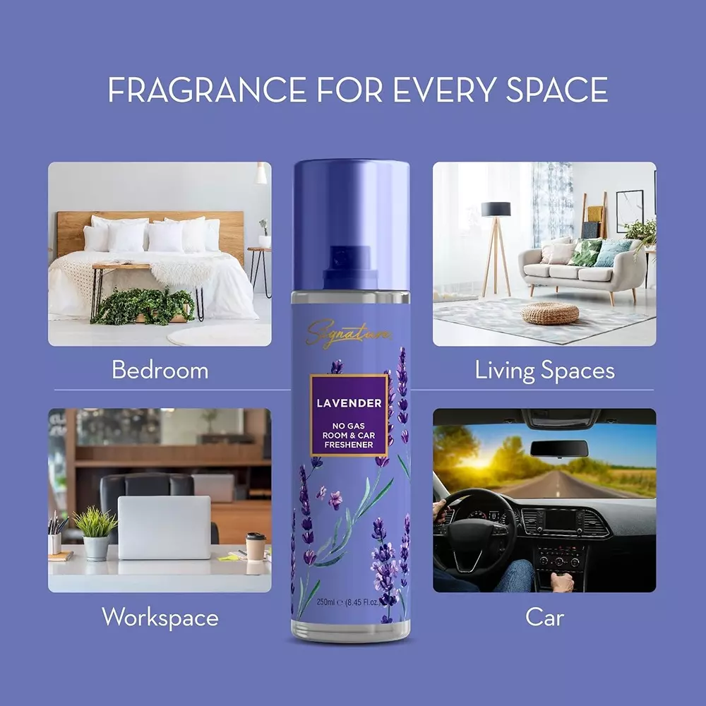 Signature Air Freshener Spray Lavender 250 ml Bottle liquid Form for Rooms, Cars & Bathrooms, FG000714 (Pack of 3 Pcs)