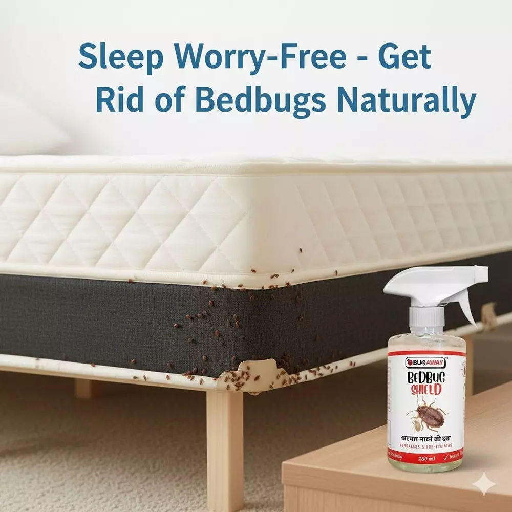 bugaway-organic-bed-bug-herbal-cocroach-repellent-spray-combo-175-ml-for-home-pack-of-2
