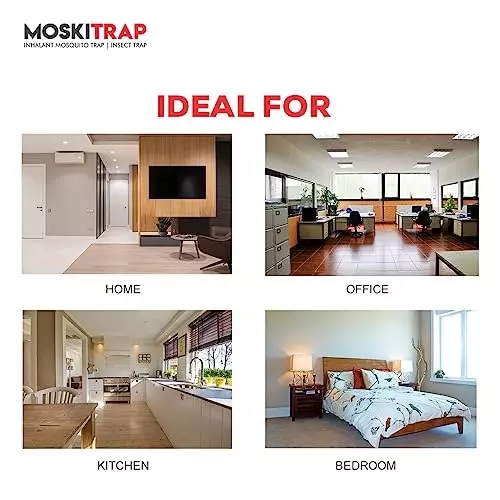 Moskitrap Mosquitos and Insect Trapper with UV LED Light Black Round Shape Plastic for Indoor & Outdoor, GM910