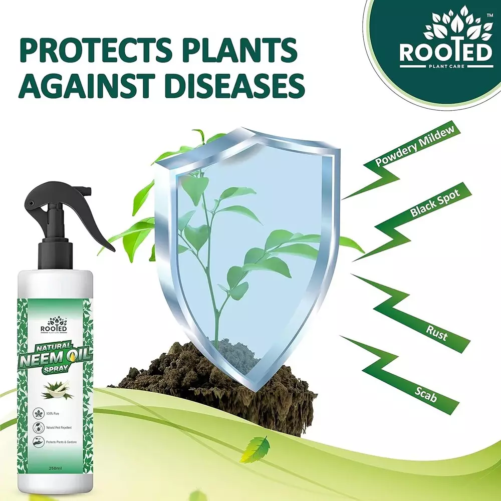 Rooted Neem Oil Spray 250 ml Bottle Oil Form for ‎Plant Growth, Soil Conditioning, ROOTED_NOS_250ML