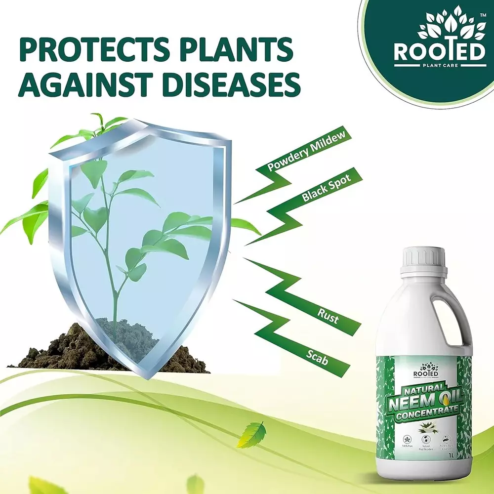 Rooted Neem Oil Concentrate 1 L Bottle Liquid Form for Flower Gardens, Indoor Plants, ROOTED_NOC_1L