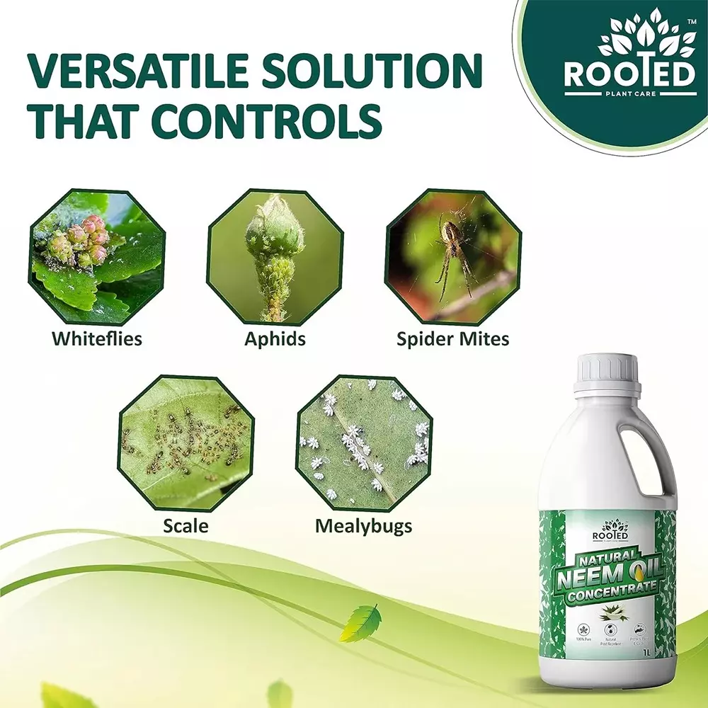 Rooted Neem Oil Concentrate 1 L Bottle Liquid Form for Flower Gardens, Indoor Plants, ROOTED_NOC_1L