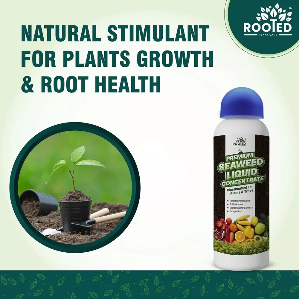 Rooted Premium Seaweed Concentrate 1 L Bottle Liquid Form for ‎Plant Growth, Soil Conditioning, ROOTED_PSLC_1L