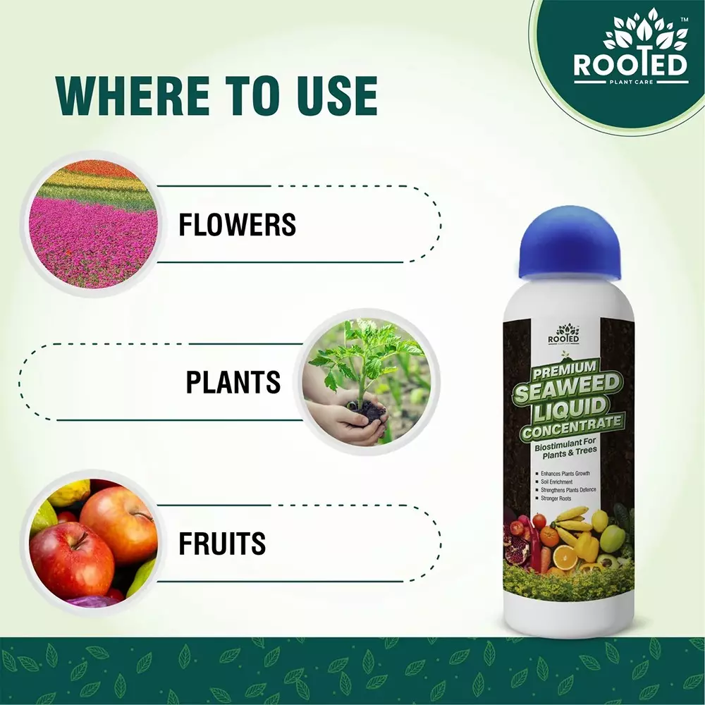 Rooted Premium Seaweed Concentrate 1 L Bottle Liquid Form for ‎Plant Growth, Soil Conditioning, ROOTED_PSLC_1L