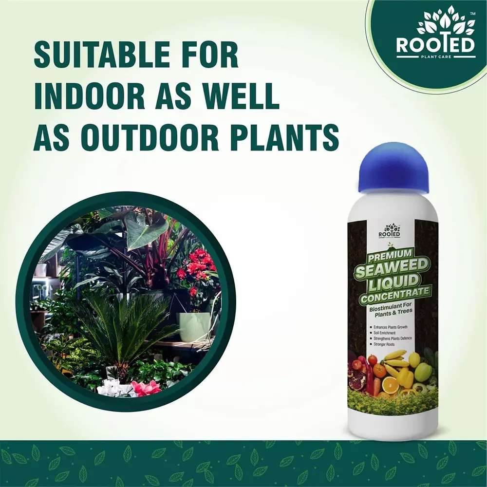 Rooted Premium Seaweed Concentrate 1 L Bottle Liquid Form for ‎Plant Growth, Soil Conditioning, ROOTED_PSLC_1L